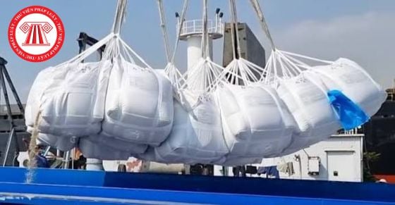 Báo cáo tình hình hoạt động kinh doanh nhập khẩu gạo thực hiện như thế nào?